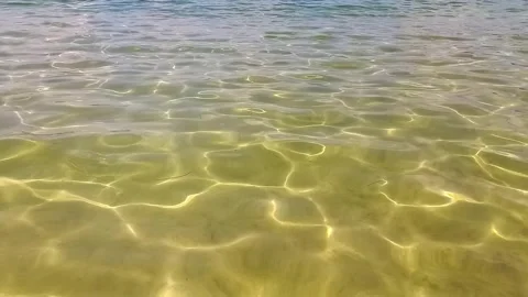 Seabed in shallow water. wave running onto sandy shore. Stock Footage 266109837