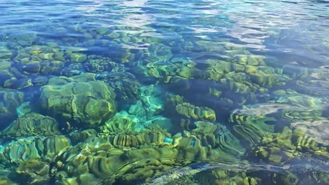 Seabed in the shallow waters. Stock Footage 304575430