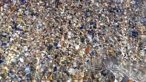 Seabed with small colored pebbles and shells are visible through clear water. Video stock 265615044
