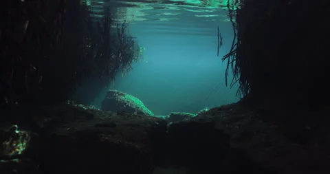 Seabed Sun Rays over rocks Stock Footage 270106355