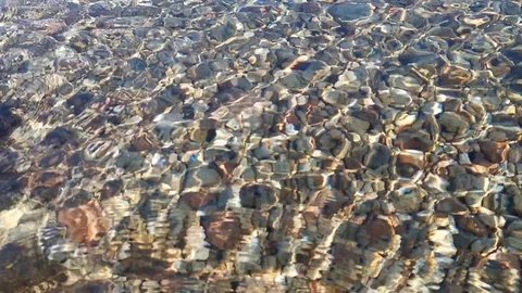 The seabed through the clear water 4K Stock Footage 124945487