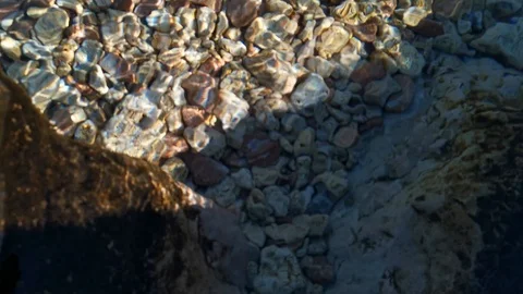 The seabed through the clear water 4K Video stock 124945911