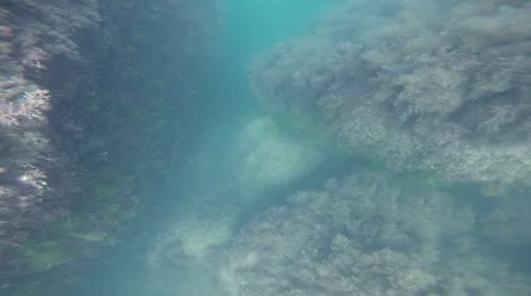 The seabed, underwater Stock Footage 54104987