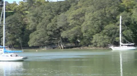 Seabird catches fish Stock Footage 21705368