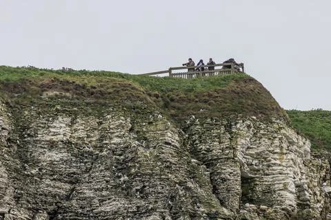 Seabird colony Stock Photos