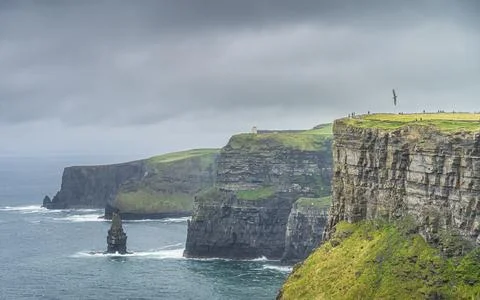 Seabird flying over iconic Cliffs of Moher with OBriens Tower on far distance Stock Photos