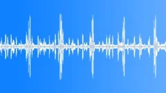Seabirds colony. Polar ocean atmosphereSound Effect