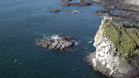 Seabirds fly and nesting on small island and steep cliffs in the ocean 1 Stock Footage 137259221