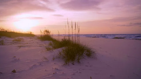 Seabirds fly over white sandy beach during soft pastel sunrise Stock Footage 120271240