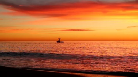 Seabirds flyover Stock Footage 83335232