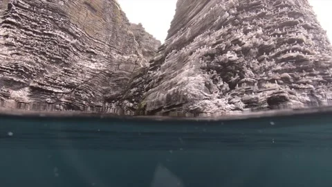 Seabirds nesting on cliffs. Stock Footage 142063848