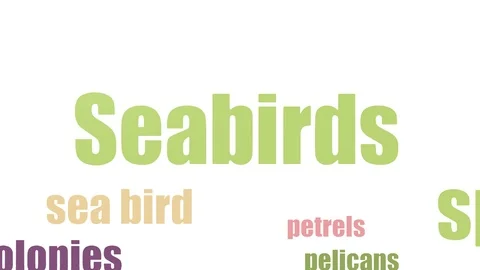 Seabirds Tag Cloud Animated On White Bac... | Stock Video | Pond5