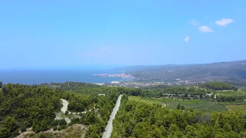 Seacoast covered by pine trees and roads and open sea behind. Aerial drone view Stock Footage 138969741