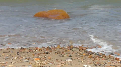 Seacoast Stock Footage