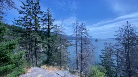 Seacoast Stock Footage 135707122