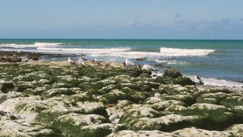 Seacoast Stock Footage 173560737