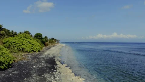 Seacoast1 Stock Footage 96362560