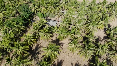 Seacoast7 Stock Footage 96363222