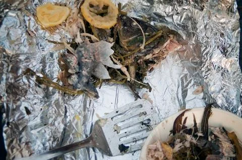 Seaffod leftovers on a table 库存照片