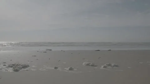 Seafoam on the beach and waves Stock Footage 169644655