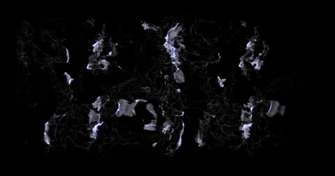 Seafoam texture isolated on black with alpha, seamless loop of a sea white foam Stock Footage 305993724