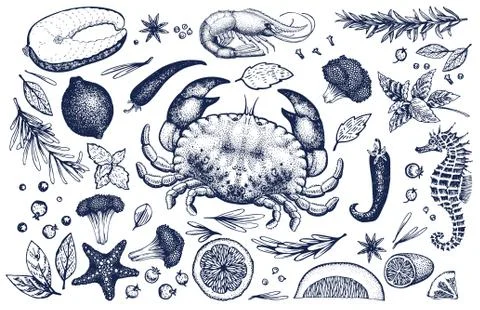 Seafood and spices vector set. Vintage hand drawn illustrations. Can be use f Stock Illustration