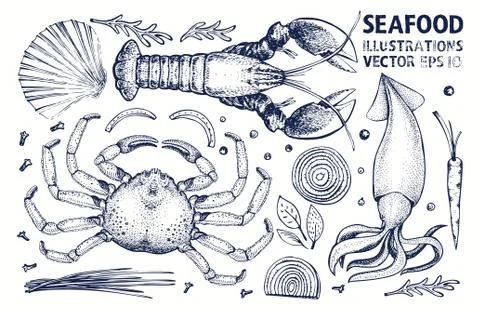 Seafood and spices vector set. Vintage hand drawn illustrations. Can be use f Stock Illustration