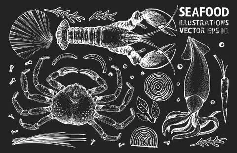 Seafood and spices vector set. Vintage hand drawn illustrations on chalk boar Stock Illustration