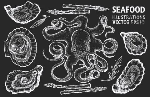 Seafood and vegetables vector set. Vintage hand drawn illustrations on chalk  Stock Illustration