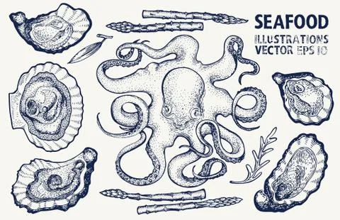 Seafood and vegetables vector set. Vintage hand drawn illustrations. Can be u Stock Illustration