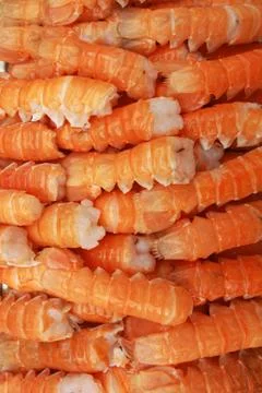Seafood background Stock Photos