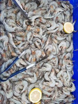 Seafood Basket Stock Photos