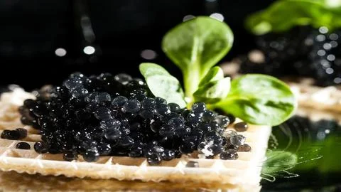 Seafood. Black caviar. Stock Photos