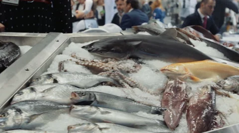 Seafood business Stock Footage 56252987