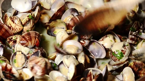 Seafood, clams Stock Footage 32432246