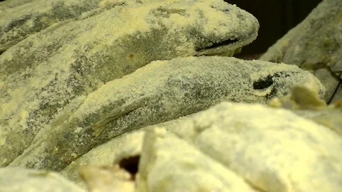 Seafood Cooked Fried Fish Trout on a Plate in a Restaurant Video stock 90233605