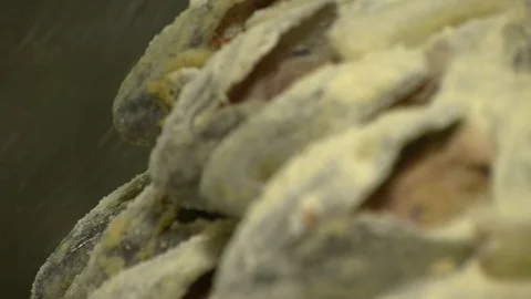Seafood Cooked Fried Fish Trout on a Plate in a Restaurant Stock Footage 90237703