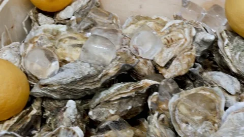 Seafood delicacies. Camera movement on a boxes with fresh closed oysters close Stock Footage 155941282