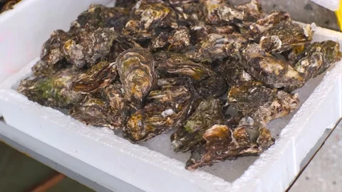 Seafood delicacies. Camera movement on a boxes with fresh closed oysters close Stock Footage 201070268