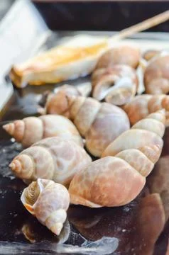 Seafood dish Stock-Fotos