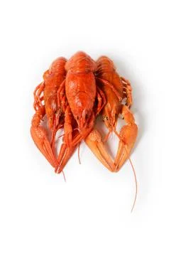 Seafood dish, Red boiled crayfish. Kind of Snacks for beer. Stock Photos