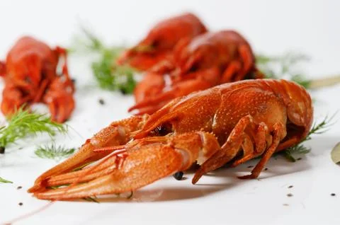 Seafood dish, Red boiled crayfish. Kind of Snacks for beer. Stock Photos