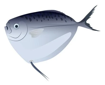 Seafood flat fish Stock Illustration