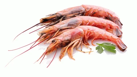 Seafood Stock Footage 107477316