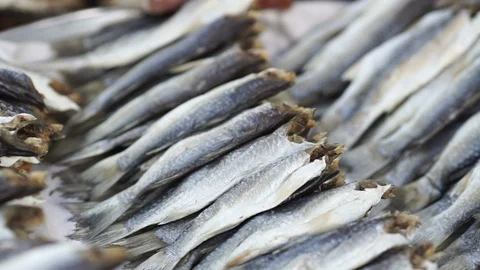 Seafood Stock Footage 121526150