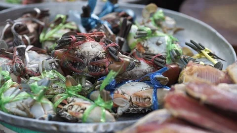 Seafood Stock Footage 121526250