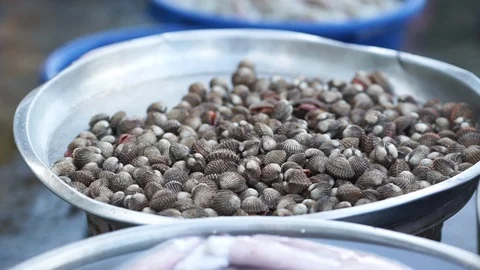 Seafood Stock Footage 121526550