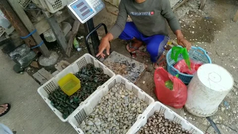 Seafood Stock Footage 272849677