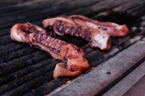 Seafood grill. Stock Photos