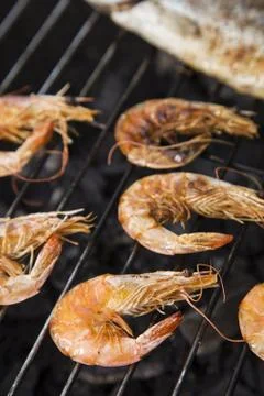 Seafood on grill Stock Photos
